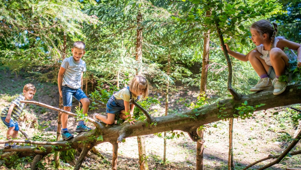 Gozdni vrtec - plezanje po trevesu