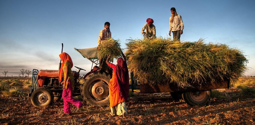 Regenerative agricultural practices on-ground