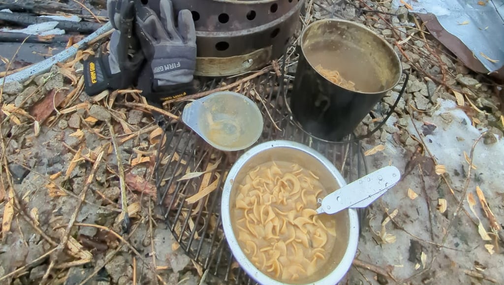 Dinner for the night, Beef Stroganoff from My Patriot Supply