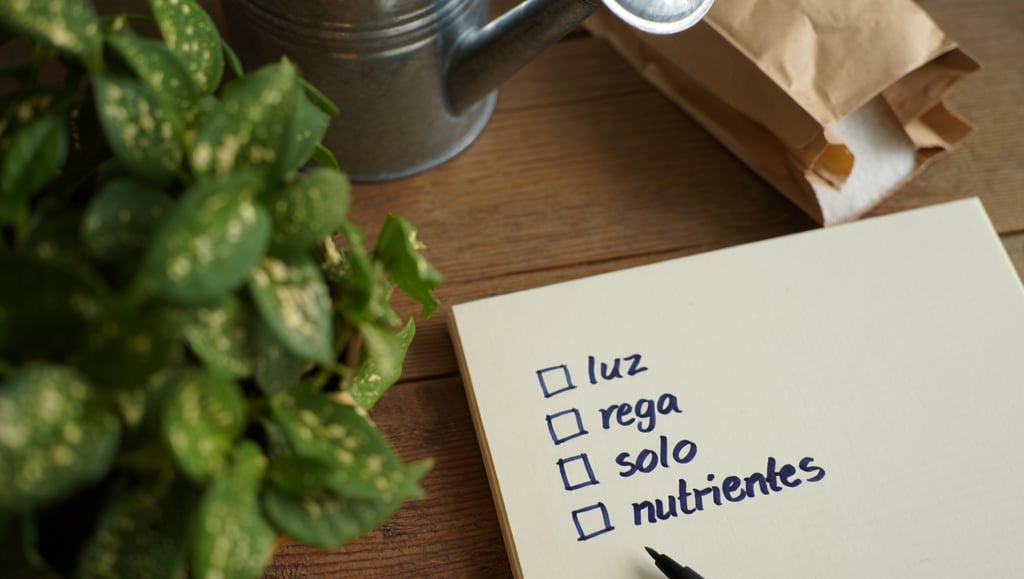 Checklist prático para identificar problemas em plantas. Observe 5 pontos rapidamente.