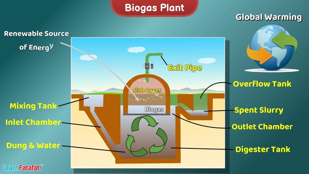 Local Authorities can take food waste and the Mr Fat Bag pouch, to generate renewable Biogas