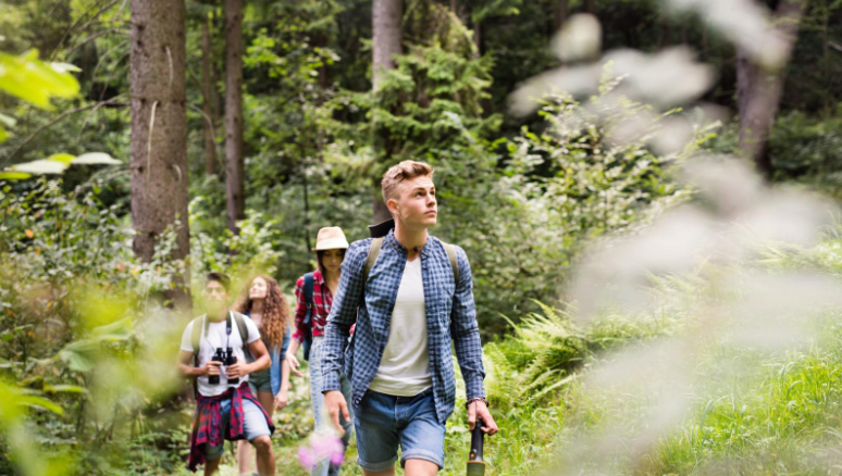 Images licensed via Canva (www.canva.com)  