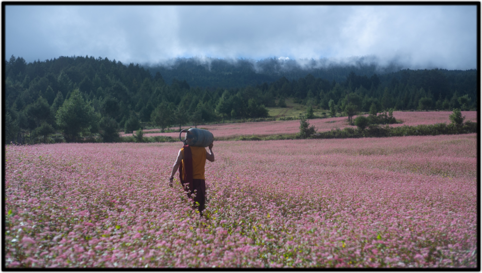 Vienuolis ir ginklas