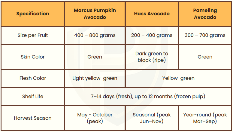 Comparison chart of Marcus Pumpkin, Hass, and Pameling avocado varieties by size, color, and season.