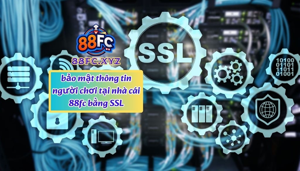 Chính Sách Bảo Mật & Hỗ Trợ Khách Hàng Tại Nhà Cái 88FC – An Toàn Tuyệt Đối, Hỗ Trợ 24/7