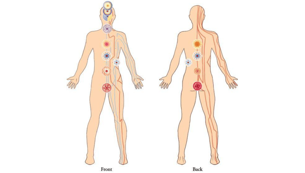 Illustrtation by Master Choa Kok Sui "Chakras and their functions"