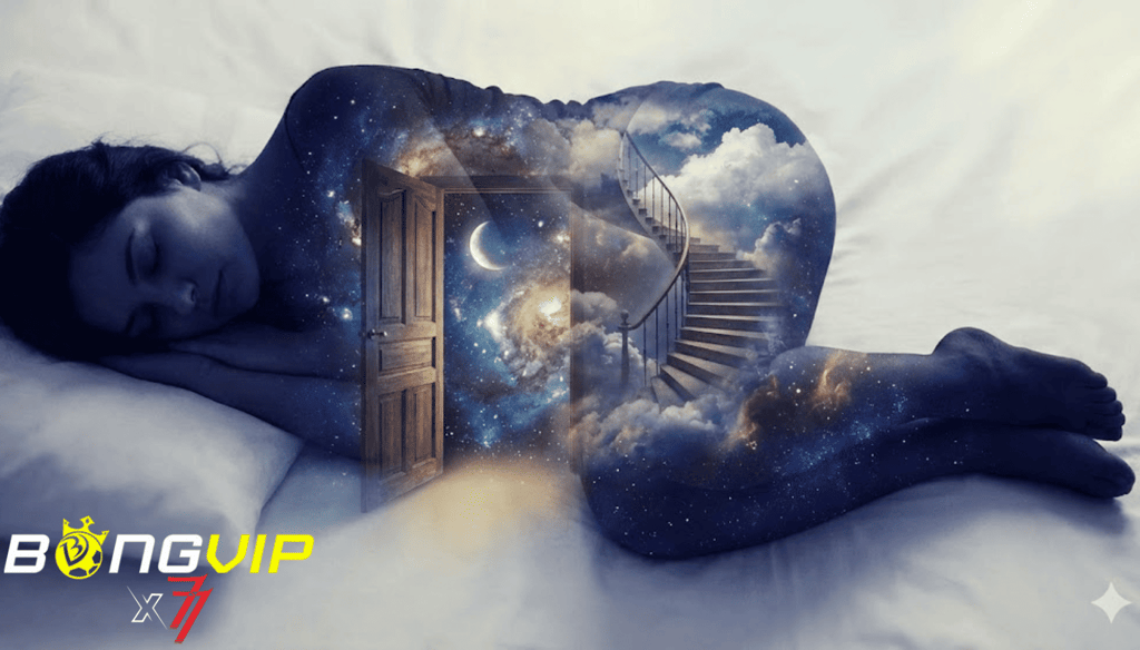 Khám phá thế giới bên trong giấc ngủ