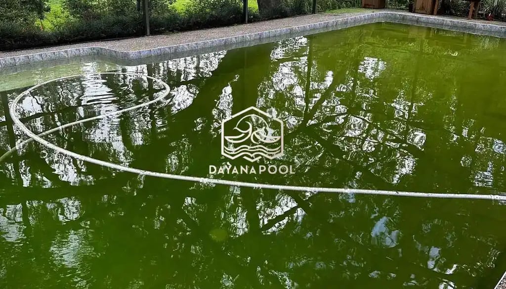 kolam renang dengan air hijau berlumut
