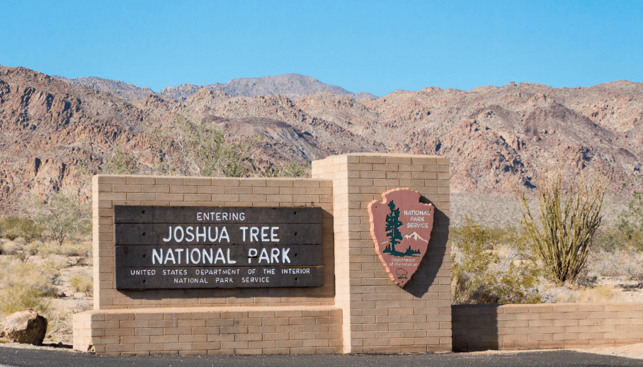 oshua Tree National Park, a unique pick for best US National Parks for Summer 2025
