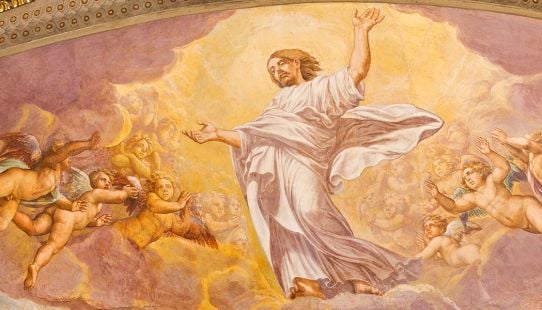 The Ascension's Witness
