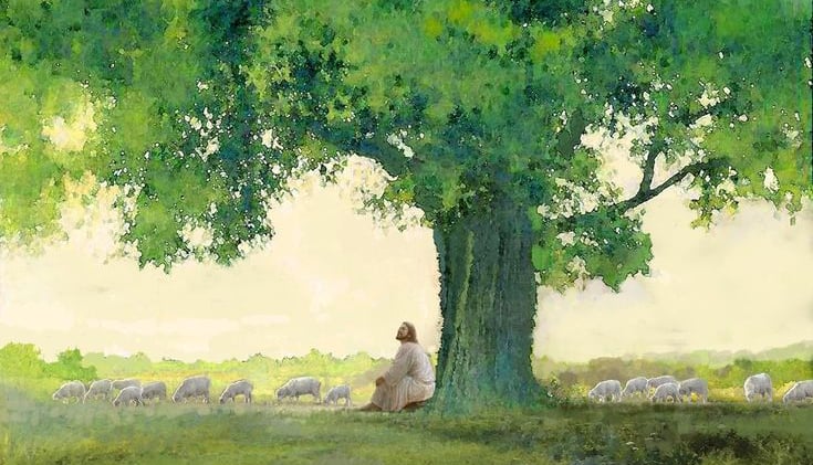 Finding Purpose in Suffering: Romans 8:28