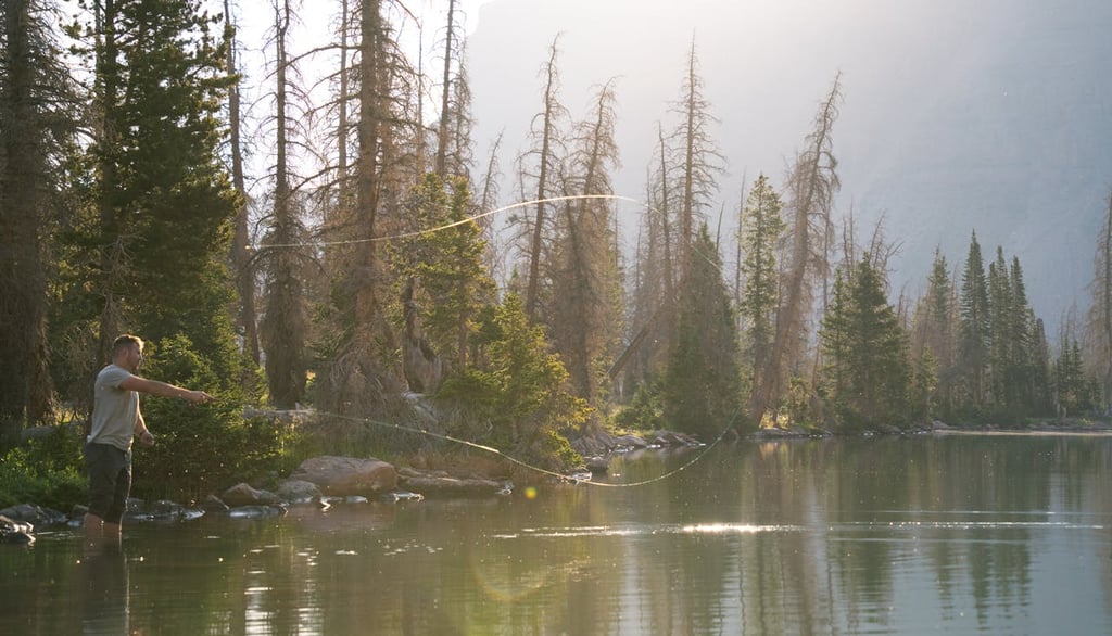 Fly Fishing vs. Bait Fishing — Which Is Right for You?
