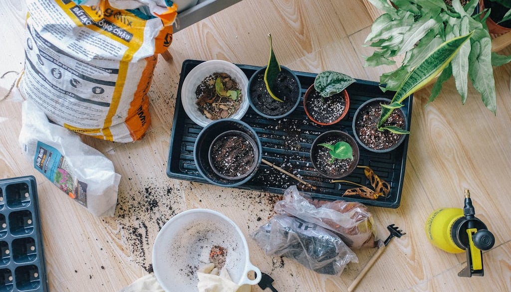 Affordable Hobbies That Enrich Your Life Without Breaking the Bank: Enjoy More, Spend Less