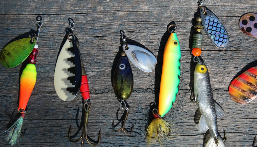 Beginner’s Guide to Fishing: Essential Gear, Best Spots, and Proven Techniques for a Successful Catc