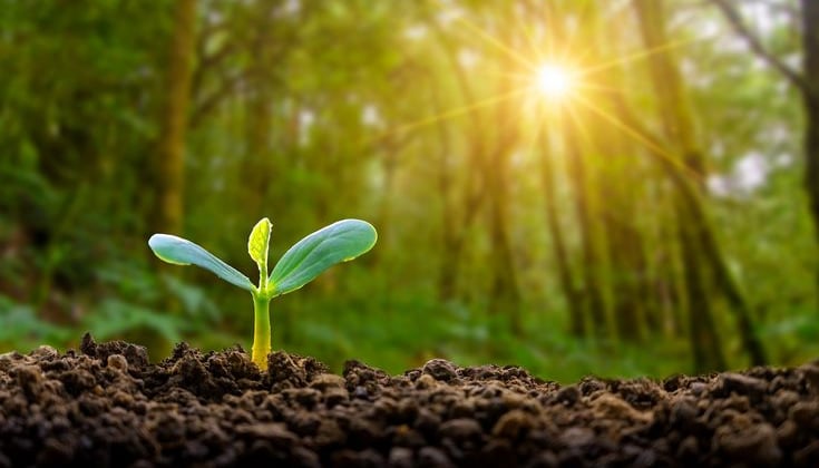5 Signs You're Being Energized by God