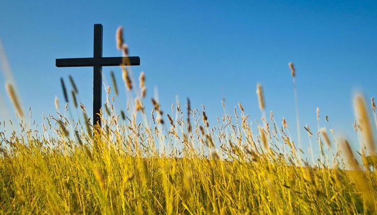 cross on the field