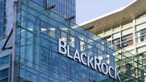 BlackRock's Strategic Bet on Swan Energy: Unveiling a Midcap Powerhouse
