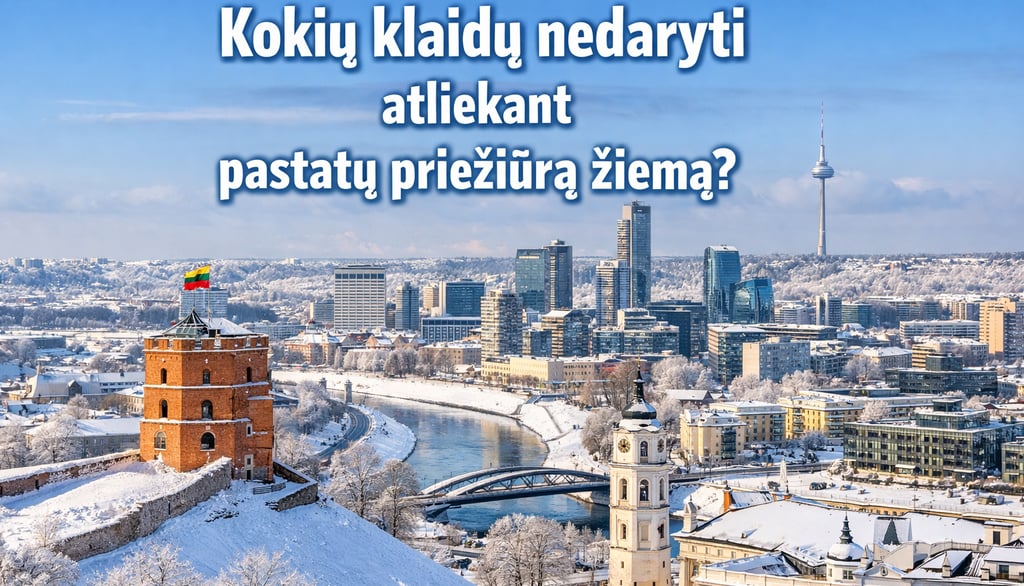 pastatu prieziura vilniuje, ziema