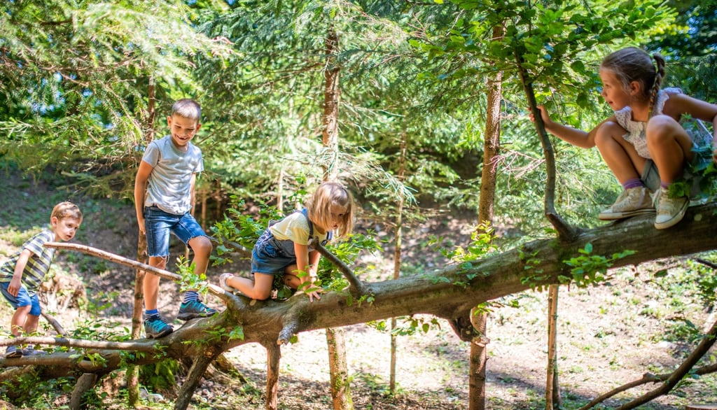 Gozdni vrtec - plezanje po trevesu