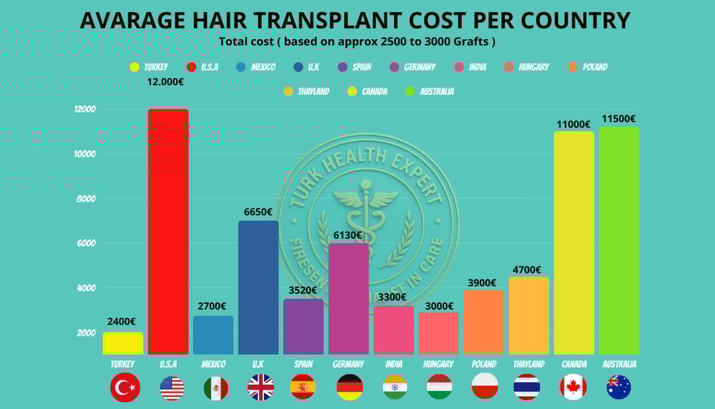 hair transplant turkey cost