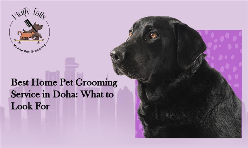 Best Home Pet Grooming Service in Doha At-Home Dog & Cat Grooming