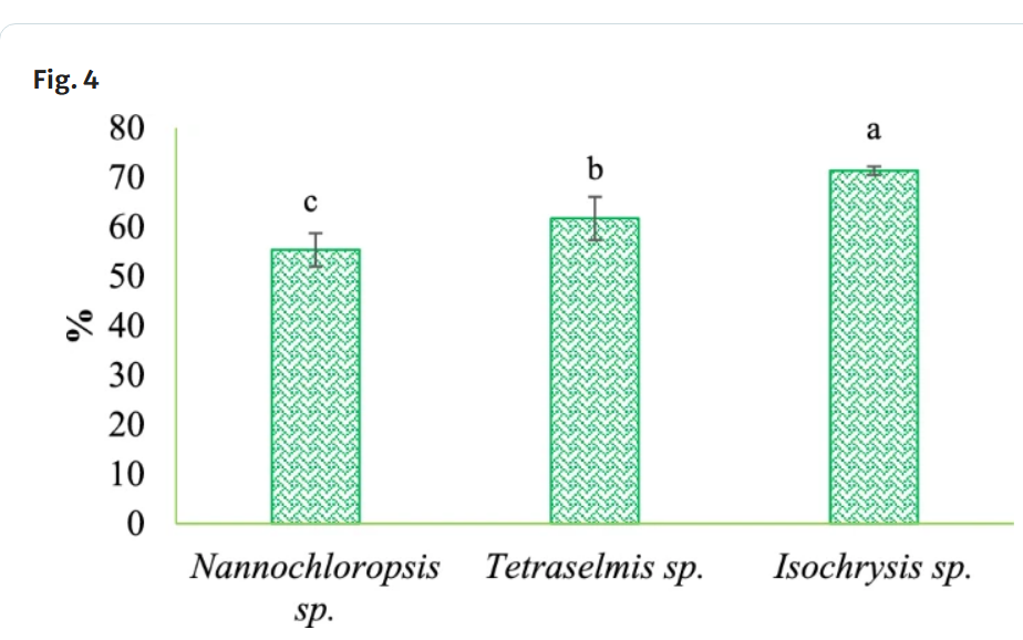 image of a graph showing isochrysis as the best microalgae to feed
