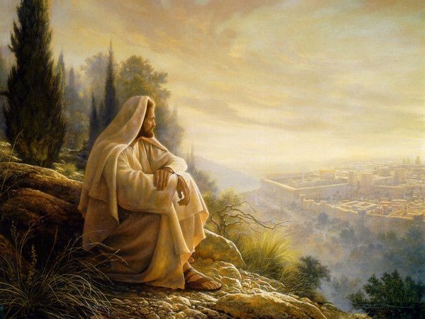 The Garden of Gethsemane: A Moment of Deep Sorrow