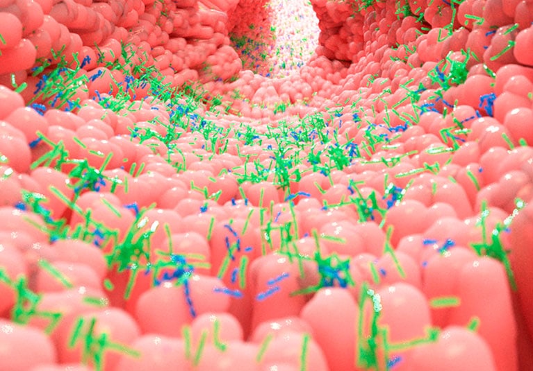 The Role of Fecal Microbiota Transplantation in Treating Immune Deficiency Disorders
