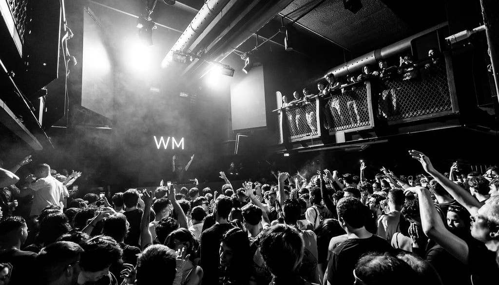 a black and white photo of a large audience inside a club enjoying a concert