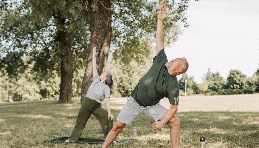 anziani che fanno attività motoria adattata, chinesiologia, senior at the gym