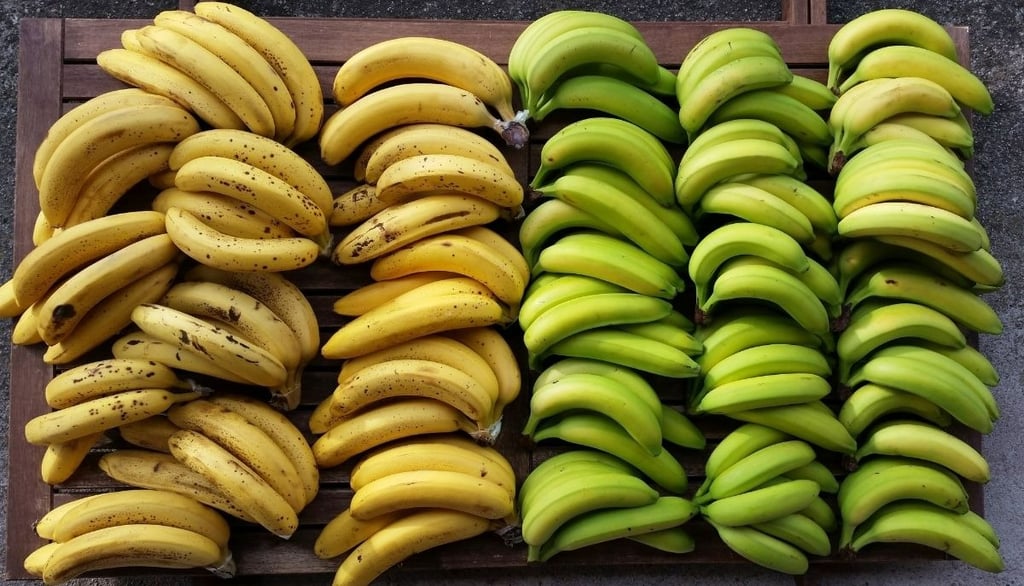 Types of bananas