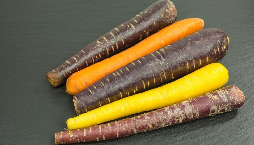 Everything about carrots