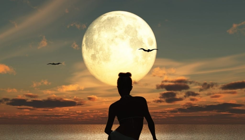 full moon view, woman, sea, birds