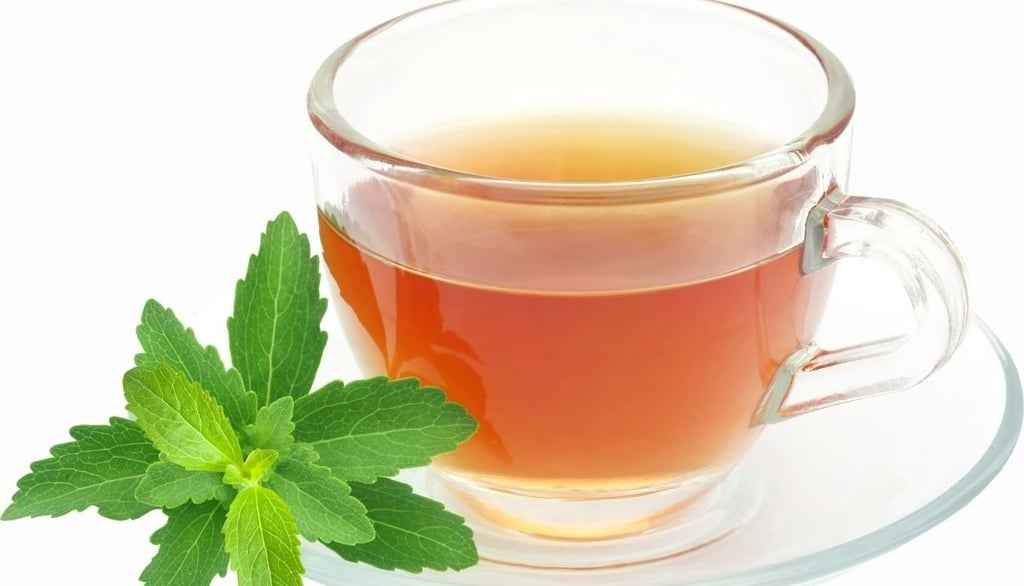 stevia tea