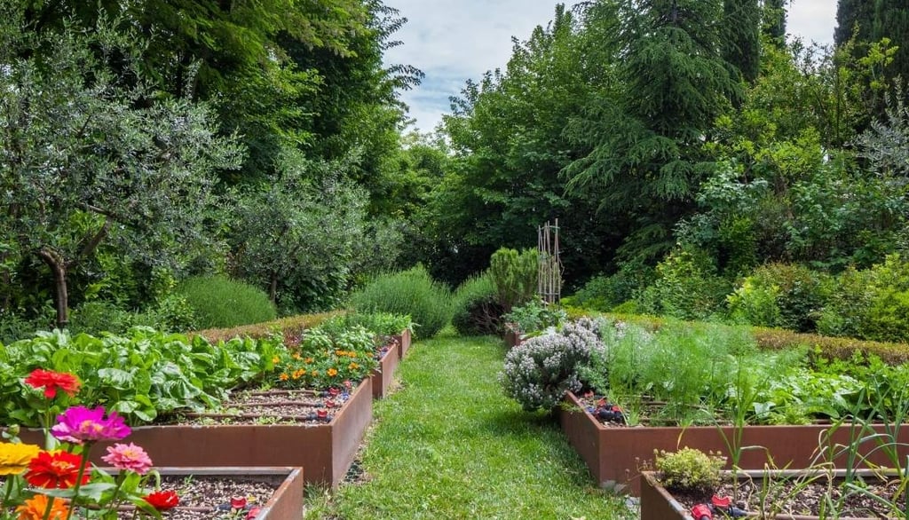 Vegetable Garden