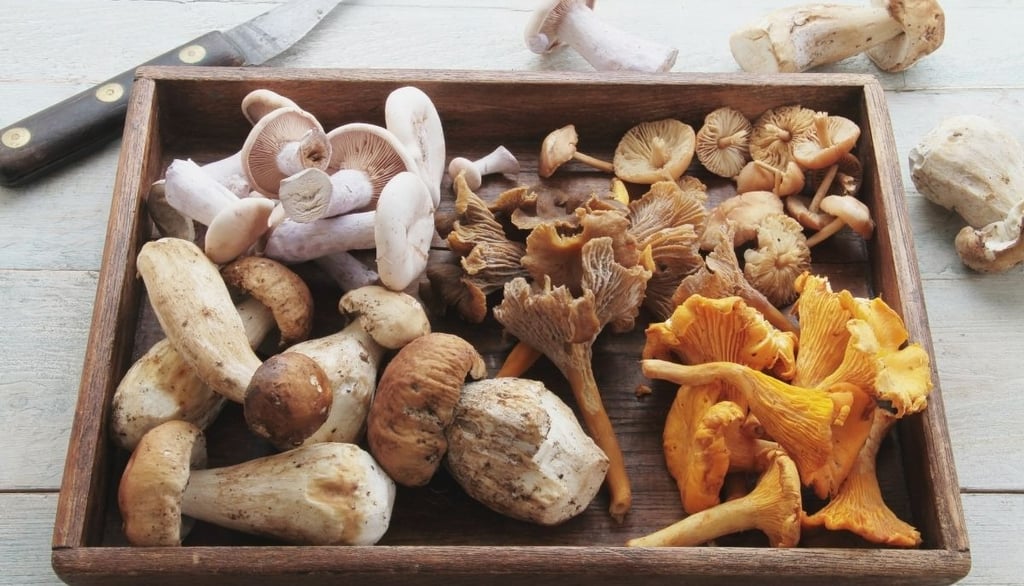 a wooden box with wild mushrooms