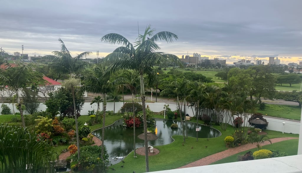a view of a pond and a cityscape in durban, south africa
