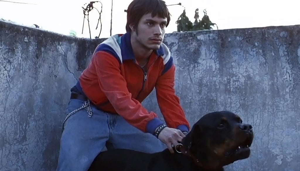amores perros
