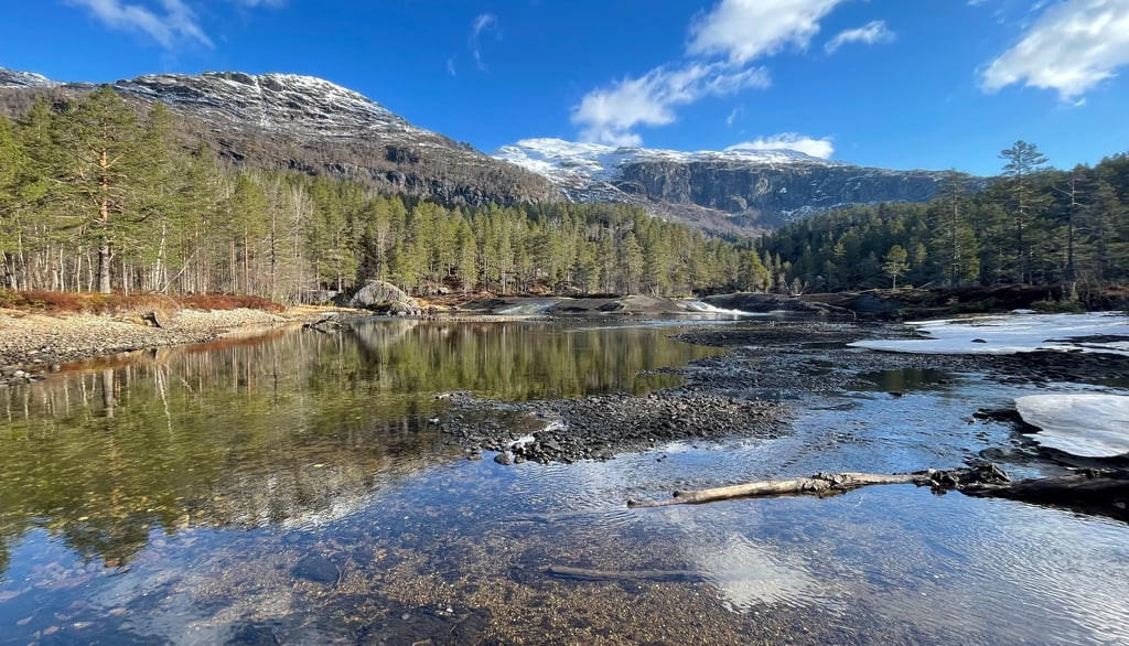 Upstream of Lake Låtevatn is scenic beautiful, but also packed with Woodpeckers.