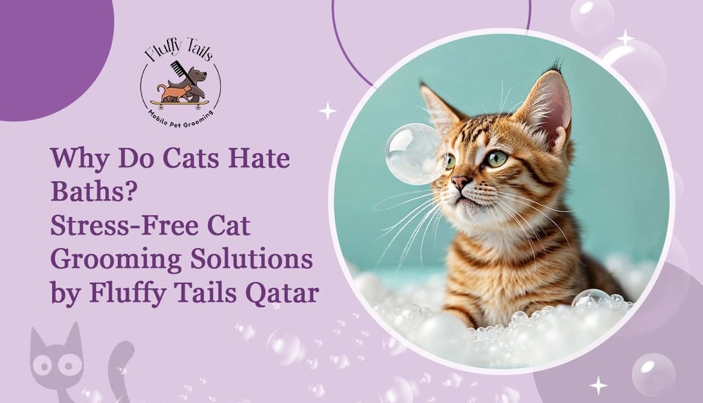 Why Do Cats Hate Baths Stress-Free Cat Grooming Solutions by Fluffy Tails Qatar