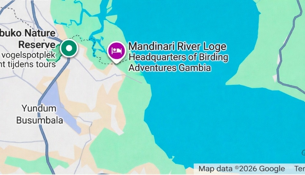 Map of Mandinari River Lodge, headquarters of Birding Adventures Gambia, near Abuko.