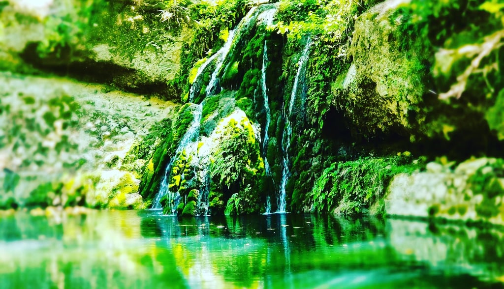 Serene small waterfall flowing over mossy rocks into a calm green pond surrounded by lush forest.