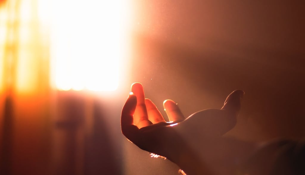 Imagem representando a luz da esperança que o floral Gorse devolve