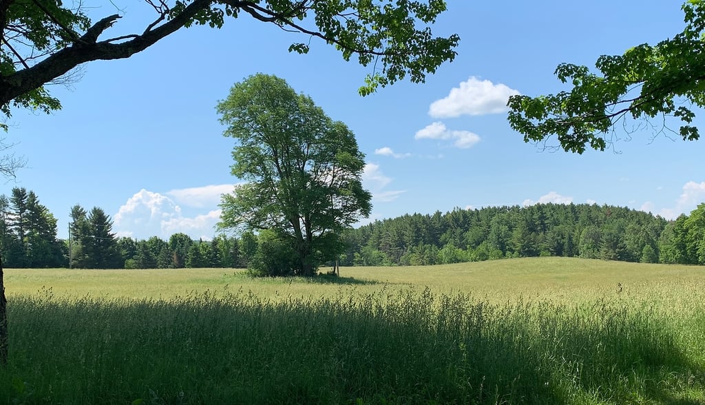 Préservons la ruralité du District 6 de Magog, Québec, Canada