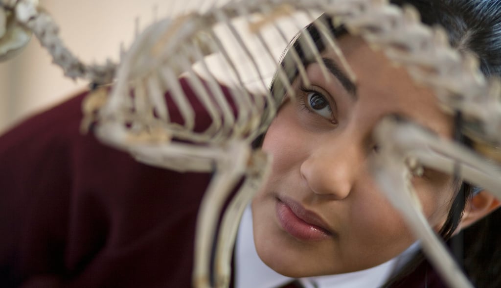 Cambridge A Level Online Tutoring student using maths to analse a vetabrate skeleton