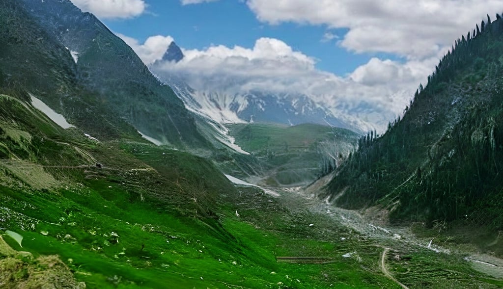 a mountain scene with a cow grazing in the grass near lake saif ul malook