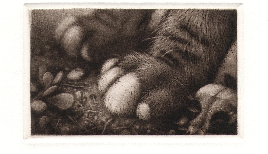 Pussyfoot Mezzotint Engraving Robert De Groff DeGroff Oriole Skull 