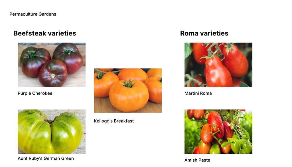 Heirloom beefsteak and Roma tomato varieties including Cherokee Purple, Kellogg's Breakfast orange t