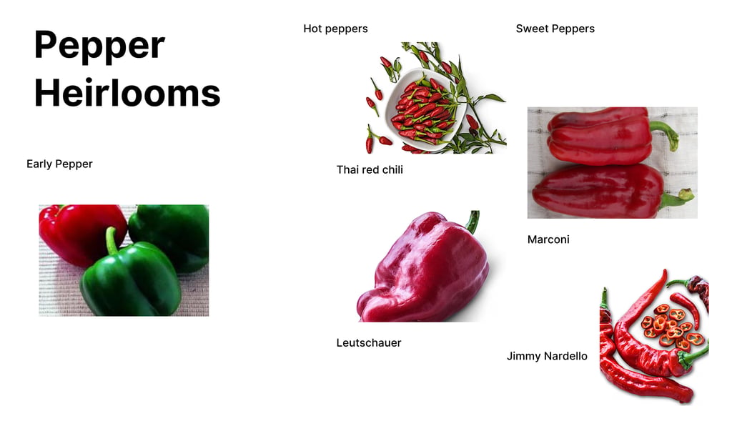 Heirloom pepper varieties including Thai Red Chili hot pepper, Leutschauer , Marconi
