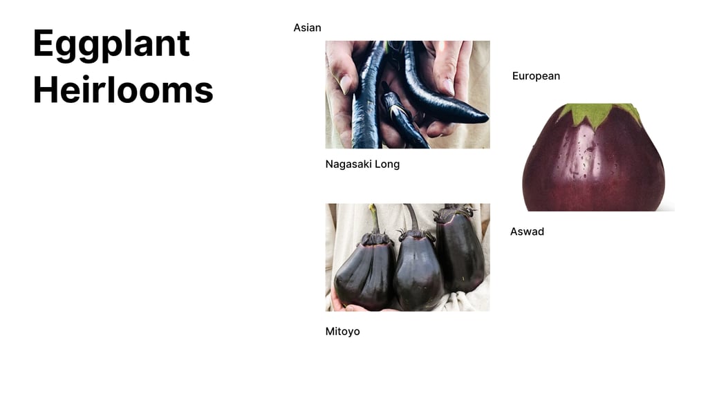 Heirloom eggplant varieties, nagasaki, mitoyo, aswad
